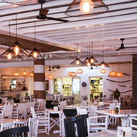 Elia Mykonos ホテル 5*