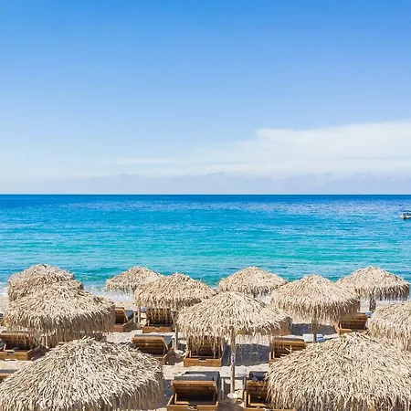 ホテル Elia Mykonos Elia (Mykonos)