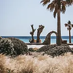 Elia Mykonos Ελιά