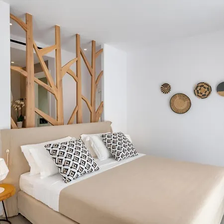 Elia Mykonos فندق