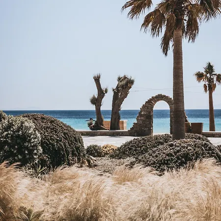 Elia Mykonos Ελιά