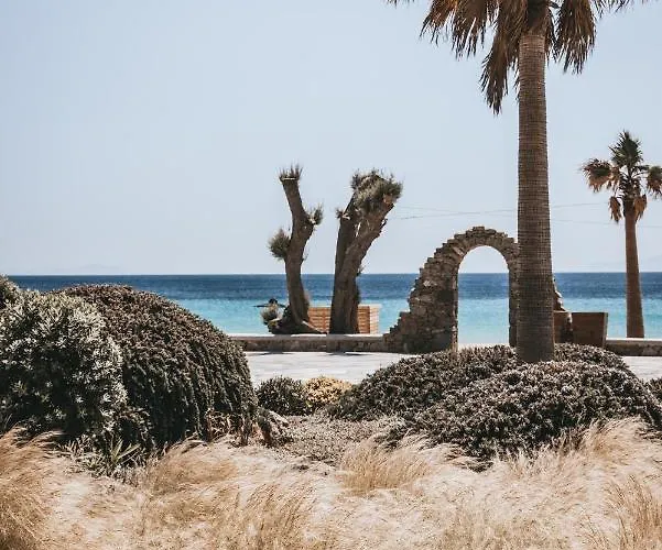 Elia Mykonos Ελιά